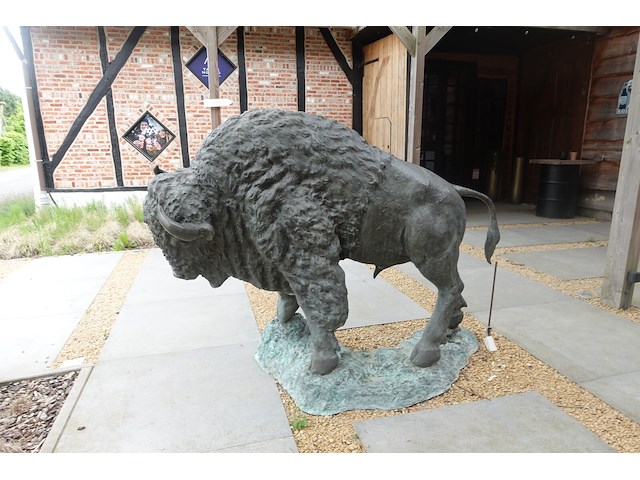 Buffel - afbeelding 3 van  4