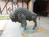 Buffel - afbeelding 3 van  4