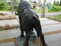 Buffel - afbeelding 4 van  4