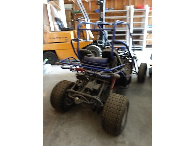 Buggy trailmaster - afbeelding 3 van  5