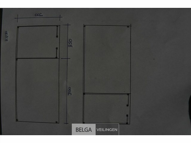 Buitenverblijf met berging douglas 250x300cm, 550x300x245x230cm - afbeelding 6 van  6