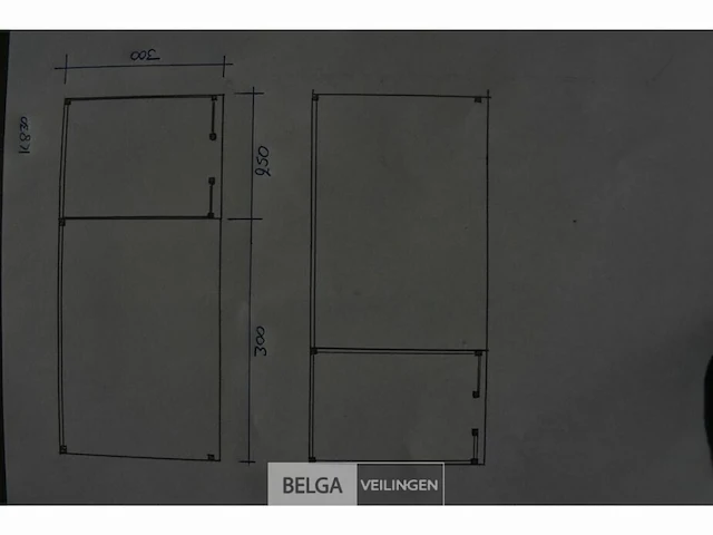 Buitenverblijf met berging douglas afm 250x300cm, 550x300x245x230cm - afbeelding 6 van  6