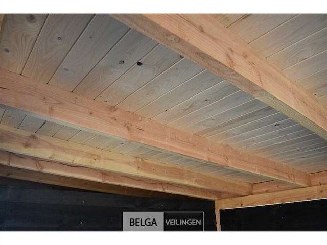 Buitenverblijf met berging douglas afm 250x400cm, 550x400x245x230cm - afbeelding 5 van  6