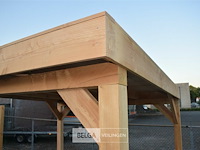 Buitenverblijf overkapping douglas 1200x300cm hoogte 245cm - afbeelding 6 van  7