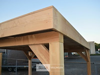 Buitenverblijf overkapping douglas 400x400cm hoogte 245cm - afbeelding 7 van  7