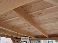 Buitenverblijf overkapping douglas 500x400cm hoogte 245cm - afbeelding 4 van  7