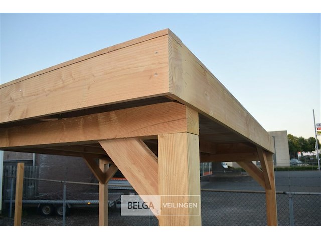 Buitenverblijf overkapping douglas 900x400cm hoogte 245cm - afbeelding 6 van  7