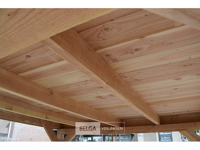 Buitenverblijf overkapping douglas afm 500x300cm hoogte 245cm - afbeelding 4 van  7