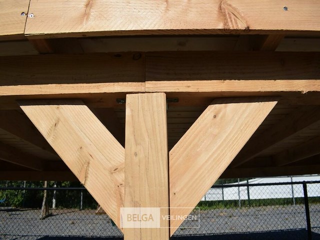 Buitenverblijf overkapping douglas afm 500x400cm hoogte 245cm - afbeelding 7 van  7
