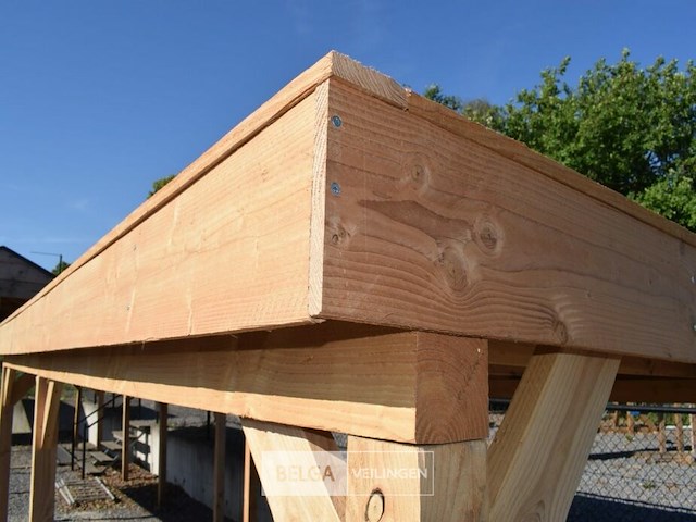 Buitenverblijf overkapping douglas afm 600x300cm hoogte 245cm - afbeelding 3 van  7
