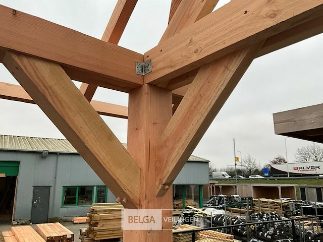 Buitenverblijf overkapping douglas met achter wand 300x300cm hoogte 245cm - afbeelding 4 van  9