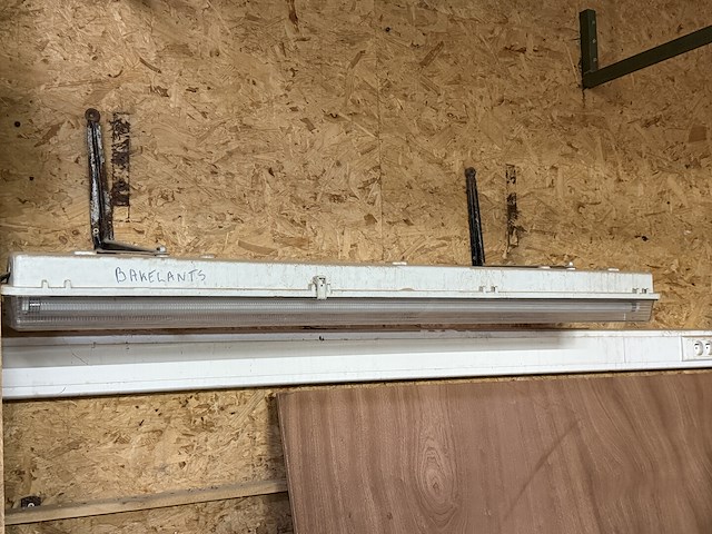 Buizenlampen - afbeelding 4 van  4