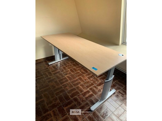 Bureel - afbeelding 1 van  1