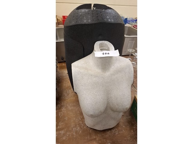 Buste + dijen paspop - afbeelding 1 van  1