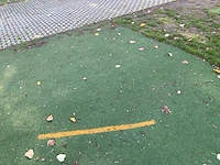 Ca. 300m2 grasmatten - afbeelding 8 van  8