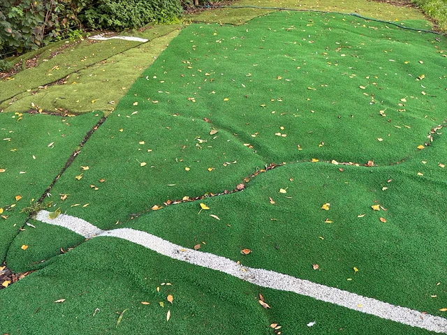Ca. 300m2 grasmatten - afbeelding 1 van  4