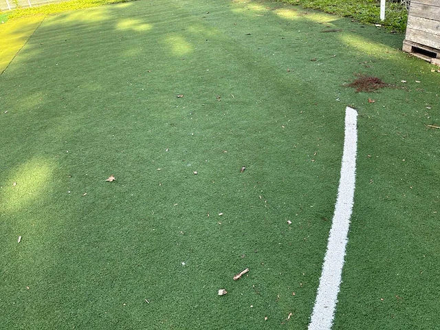 Ca. 300m2 grasmatten - afbeelding 4 van  8
