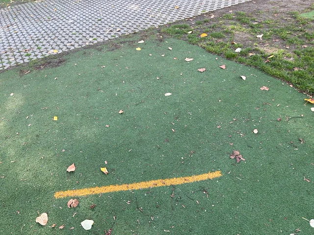 Ca. 300m2 grasmatten - afbeelding 8 van  8