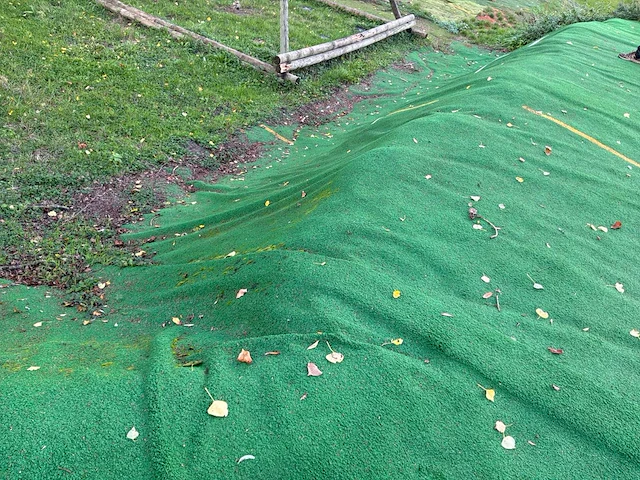 Ca. 300m2 grasmatten - afbeelding 3 van  4