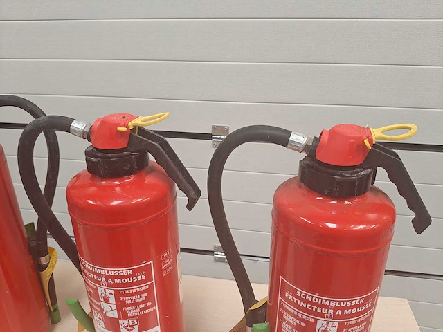 Cadis - 4x schuimblusser 6 liter - afbeelding 5 van  6