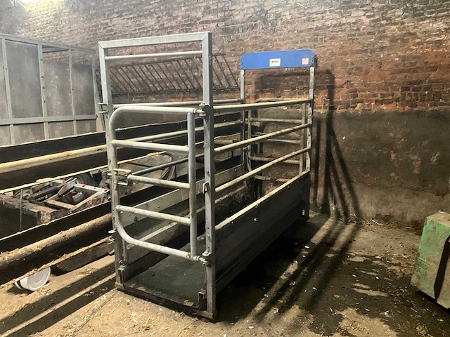 Cae pb 15 weegschaal voor koe - afbeelding 1 van  6