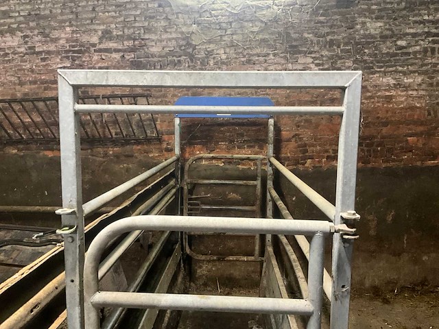 Cae pb 15 weegschaal voor koe - afbeelding 4 van  6