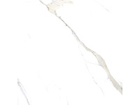 Calacatta oro matt 57.6m² - afbeelding 4 van  8