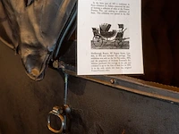 Calèche / barouche van keizer napoleon iii - afbeelding 21 van  29