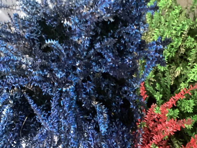 Calluna mix (100x) - afbeelding 3 van  6