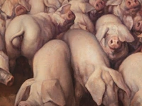 Camiel d'have (1926-1980), 'totem en taboe', 1971, oil on canvas 70 x 80 cm. (27.55 x 31 1/2 in.), frame: 77 x 87 cm. (30.30 x 34 1/4 in.) - afbeelding 5 van  6