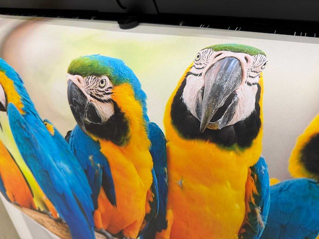 Canon / oce - colorwave 3700 - multifunctionele full color plotter - afbeelding 20 van  21