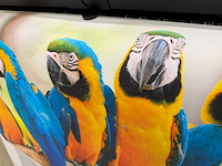 Canon / oce - colorwave 3700 - multifunctionele full color plotter - afbeelding 20 van  21