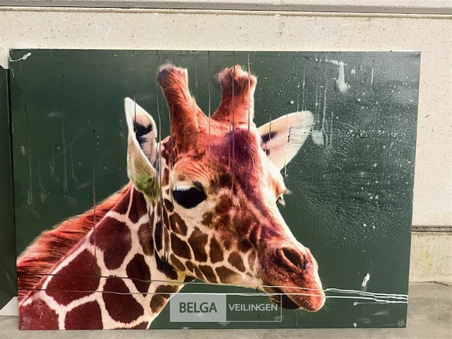 Canvas giraffe - afbeelding 1 van  1