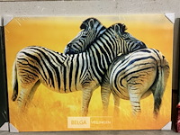 Canvas zebra - afbeelding 1 van  1