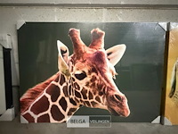 Canvast giraffe - afbeelding 1 van  1