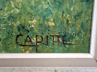 Capitte – landschap - afbeelding 3 van  5