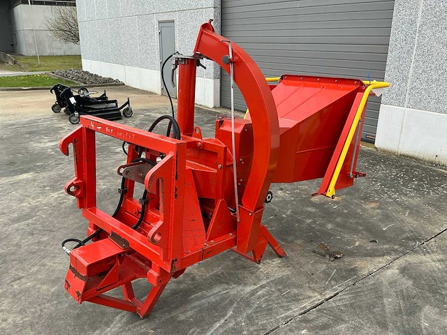 Caravaggi houthakselaar - afbeelding 4 van  9