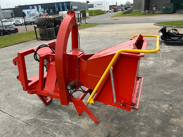 Caravaggi houthakselaar - afbeelding 3 van  6