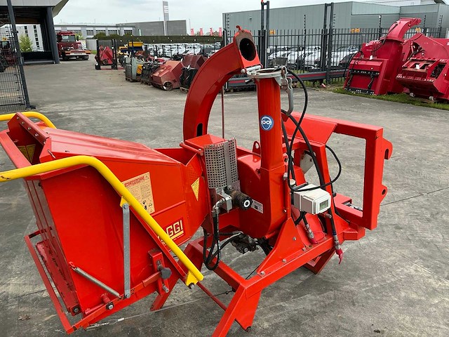 Caravaggi houthakselaar - afbeelding 5 van  6