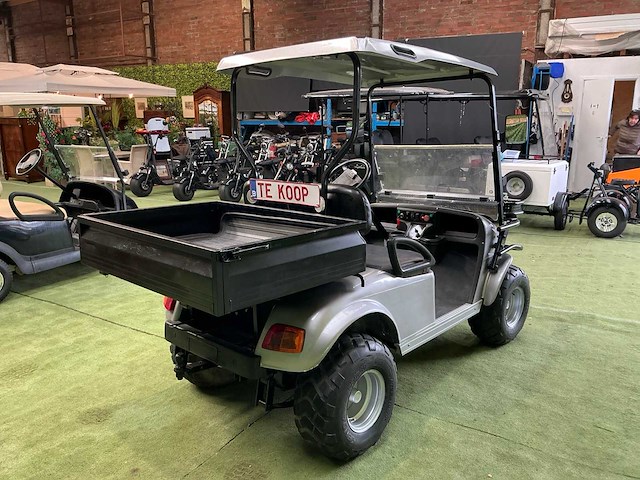 Cargo dh-c2 golfkar - afbeelding 3 van  9