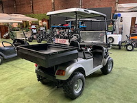 Cargo dh-c2 golfkar - afbeelding 3 van  9