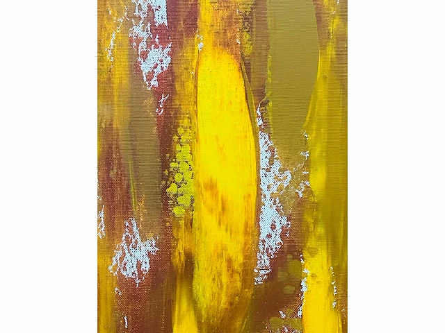 Carl gorissen - abstract - acryl op doek - groot werk - afbeelding 2 van  11