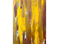 Carl gorissen - abstract - acryl op doek - groot - afbeelding 4 van  11