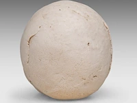 Carmen dionyse (1921-2013), ceramic head 9 cm. (3.54 in.) - afbeelding 4 van  7