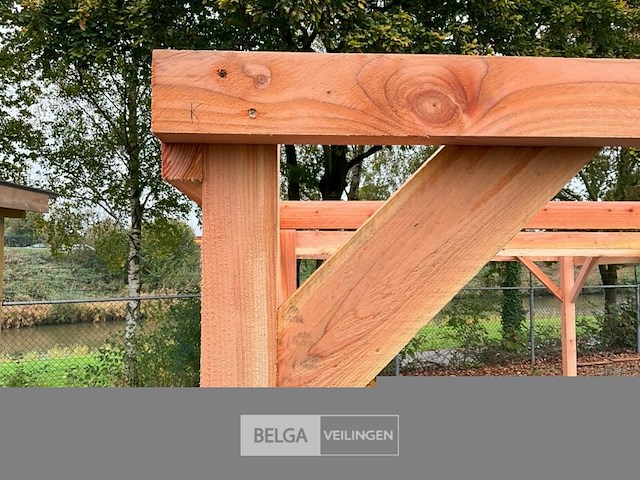 Carport/overkapping-hoog, afm b310xd1200xh210/190 cm - afbeelding 5 van  5