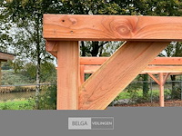 Carport/overkapping-hoog, afm b310xd1500xh210/190 cm - afbeelding 5 van  5