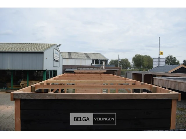 Carport/overkapping met berging, afm b310xd720xh235/225 cm - afbeelding 12 van  13