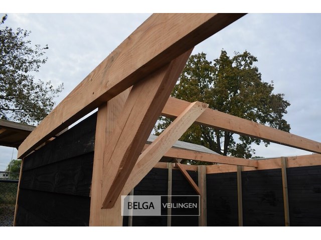 Carport/overkapping met berging, afm b410xd720xh235/225 cm - afbeelding 2 van  13