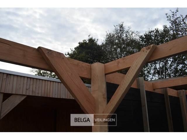 Carport/overkapping met berging, afm b410xd720xh235/225 cm - afbeelding 3 van  13