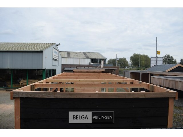 Carport/overkapping met berging, afm b410xd720xh235/225 cm - afbeelding 12 van  13